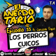 El Anecdotario - Episodio 55 - Los perros cuicos - Ft. Christian Tapia