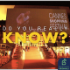 What is the Cannes Film Festival ?
