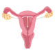 What is polycystic ovary syndrome?