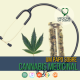 Um papo sobre Cannabis Medicinal