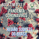 Boletim #13 – Região Sudeste do Brasil