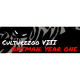 Culturezoo VIII: Batman, Year One
