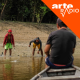 Amazônia (4/10) : Au fleuve