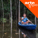 Amazônia (3/10) : Pirogue, entre les arbres