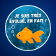 L’être humain est-il plus évolué que le poisson rouge ? 🐟