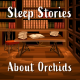 Sleep Stories: About Orchids, a Chat
