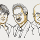Nobelpreis für Chemie an drei Molekülforscher