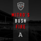 Mitro's Bush Fire