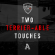 Two Terrier-able Touches