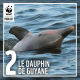 Étudier le dauphin de Guyane pour mieux le protéger