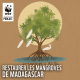 Préserver les mangroves de Madagascar