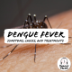 Dengue Fever:- Symptoms, Causes, and Treatments