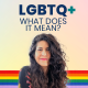 230. LGBTQ+: What it means and other important terms