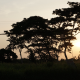 #2050*COP25 Points de vue: le Bénin