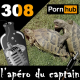 ADC #308 : Le Strip Club de la tortue Pornhub