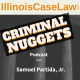 Attorney Anthony Sassan | What You Need To Know About The Practical Differences Between Federal And State Criminal Court