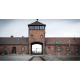 27 gennaio del 1945. La liberazione di Auschwitz