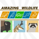 Bison | Pronghorn | Black-Footed Ferret