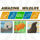 Sea Otter | Garibaldi | Sea Lions