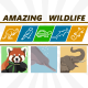 Red Panda | South Asian River Dolphins | Asian Elephants