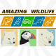 Arctic Fox | Puffins | Polar Bear