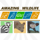 Ring-Tailed Lemur | Fossa | Aye-Aye