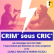 CRIM' sous CRIC' : Bang, bang, you shut me down… La réalité du trafic d'armes… en France !